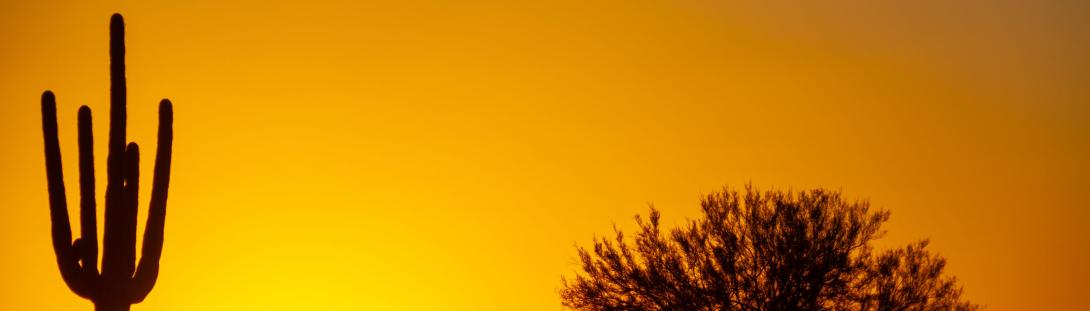 Desert-Sunset-115278465_m